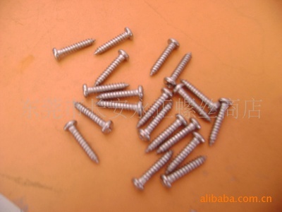 專業(yè)供應(yīng)不銹鋼P(yáng)B割尾自攻螺釘 卓越品質(zhì)，精準(zhǔn)緊固